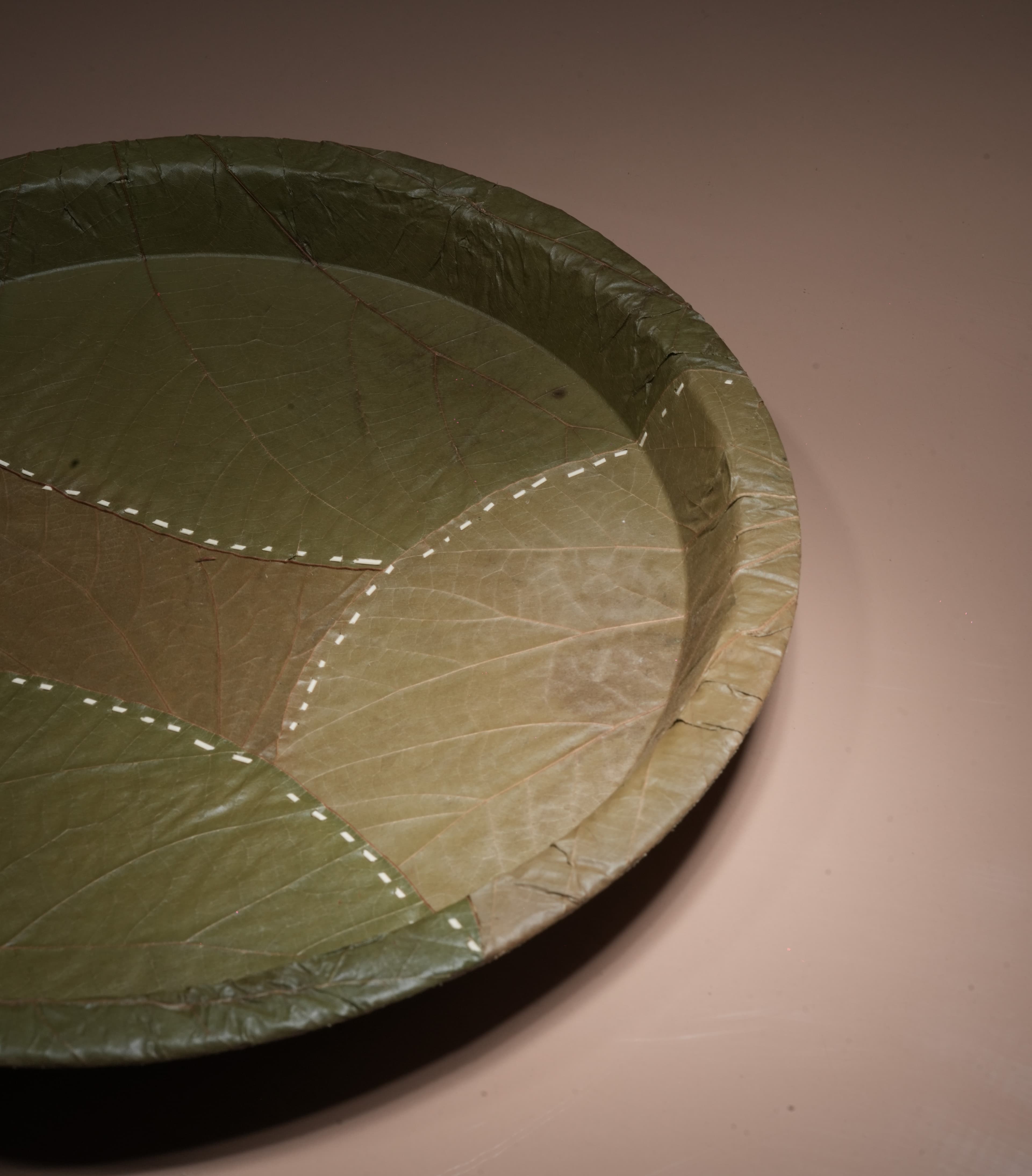 Women artisans crafting areca leaf plates